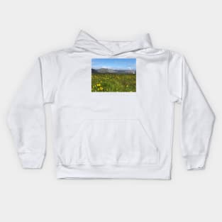 Snaefellsnes Peninsula Iceland Kids Hoodie